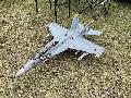 FMS F/A-18F ハイビジ